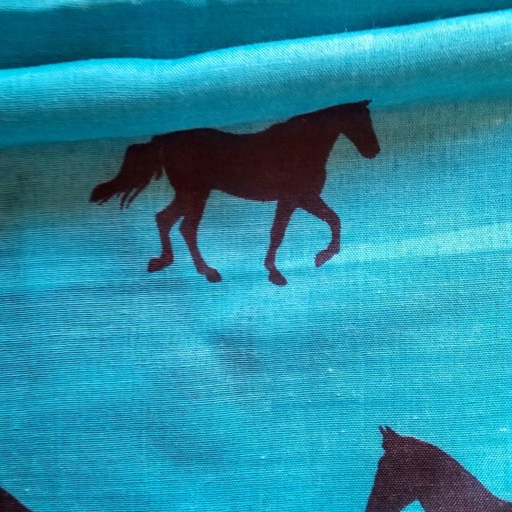 Western scarf NWT infinity scarf